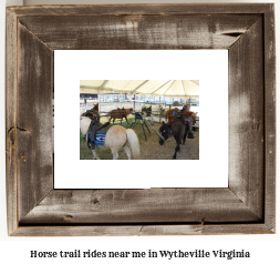 horse trail rides near me in Wytheville, Virginia